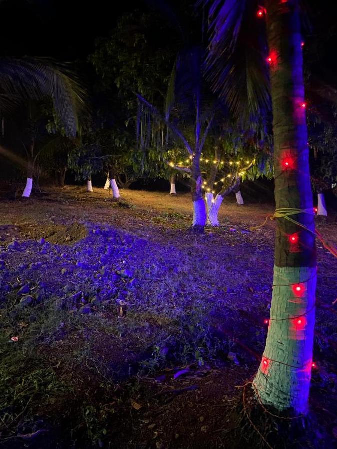 Pratik Mango Farm House Villa Revadanda Kültér fotó